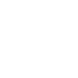 Clube de Desporto C+S de Lavra.png